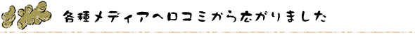 各種メディア掲載