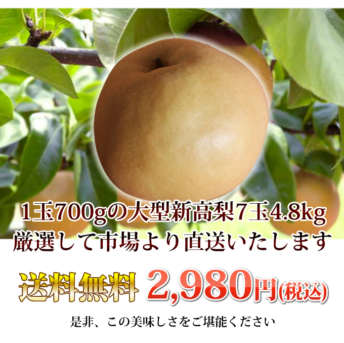 熊本県吉野産新高梨