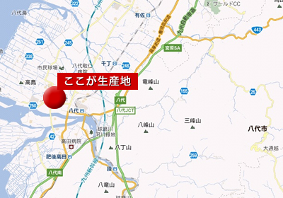 黒岩産新高梨の産地