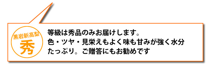 等級秀の高級新高梨はギフトにもおすすめ