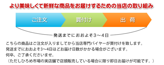 新高なし サイズ比較